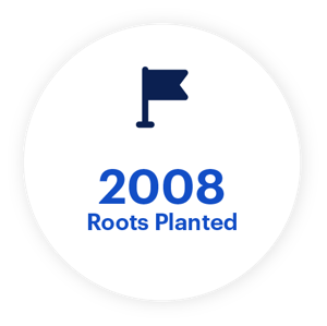 Roots Planted Roots Planted